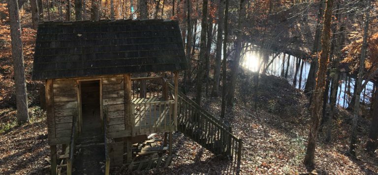 Thanksgiving-Treehouse