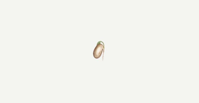 Seed of Legacy