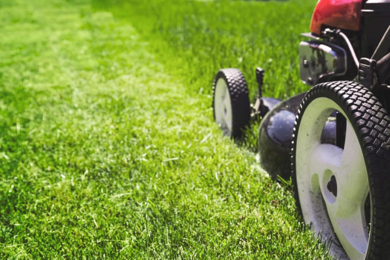 FX3-mower
