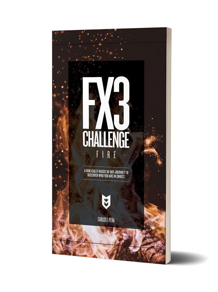 FX3-Challenge-Fire-Paperback-Book